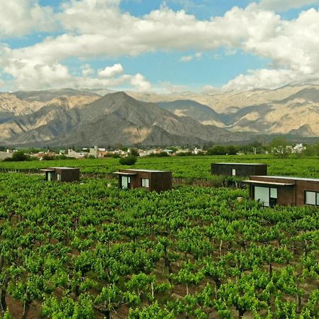 El Porvenir Wine Lodge Cafayate Exterior foto